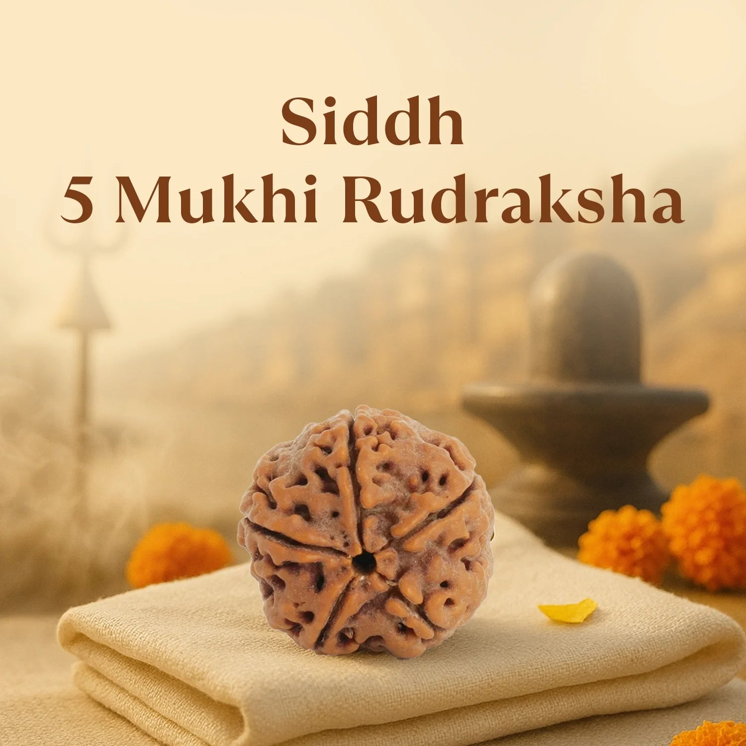 Five-faceted Rudraksha bead on a folded beige cloth with marigold flowers and a blurred background.