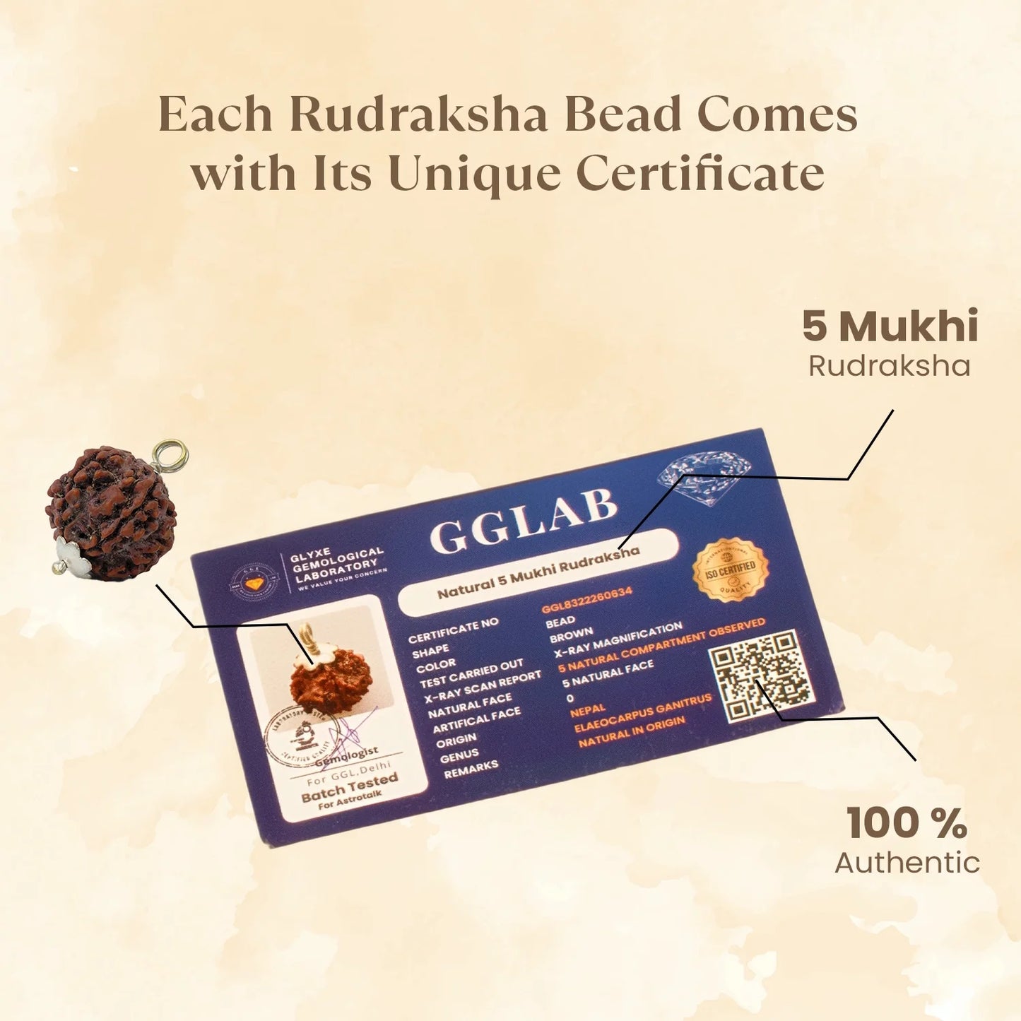 5 Mukhi Nepali Rudraksha