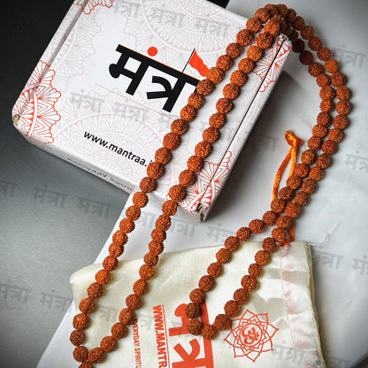 Brown Rudraksha Mala - 108+1 Beads  - Govt. Certified