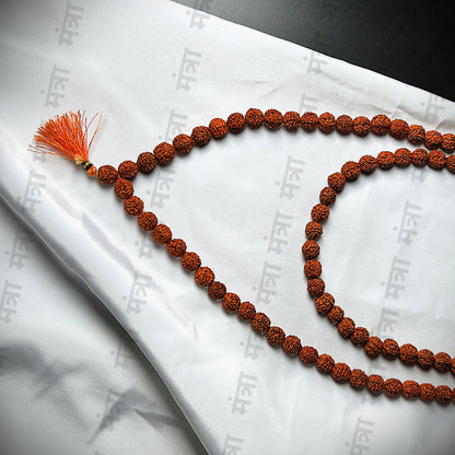 Brown Rudraksha Mala - 108+1 Beads  - Govt. Certified