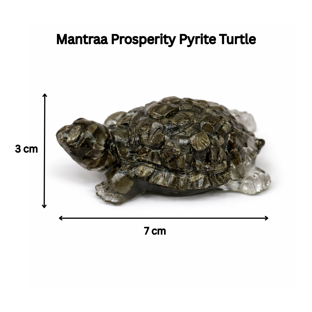 Mantraa Prosperity Pyrite Turtle