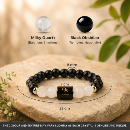 Scorpio (वृश्चिक राशि) Zodiac Black Obsidian & Milky Quartz Bracelet