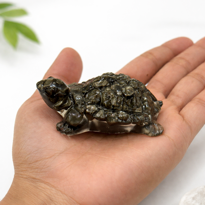 Hand holding a turtle-shaped stone with a white background